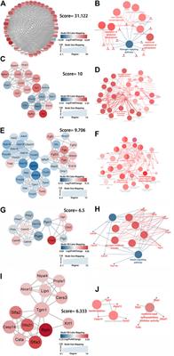 Transcriptome Profiling Reveals Important Transcription Factors and Biological Processes in Skin Regeneration Mediated by Mechanical Stretch